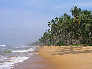 Sri Lanka beach © Nadezda Glazova - Dreamstime.com